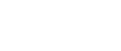Delay Insurance Services logo